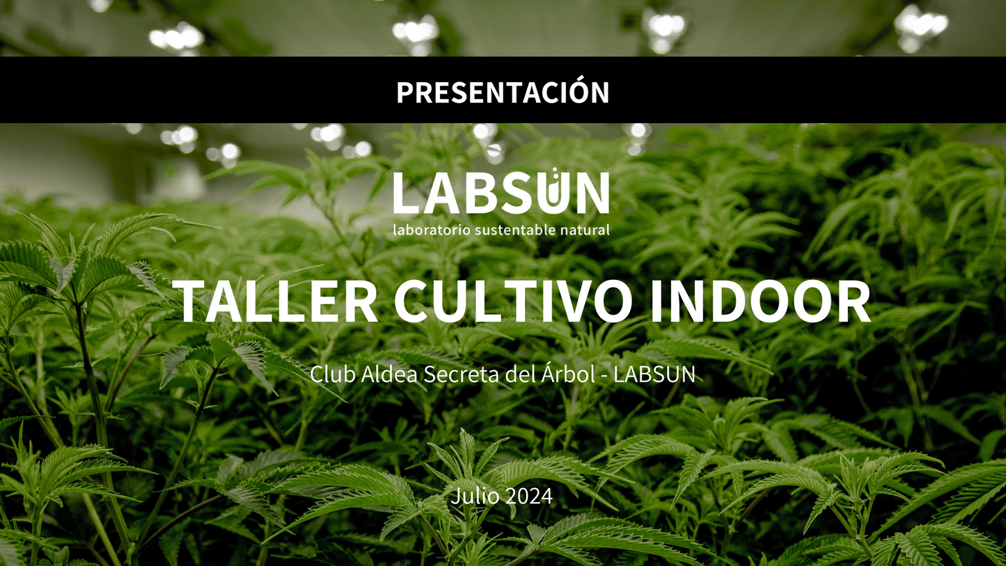 Master Class Cultivo Indoor