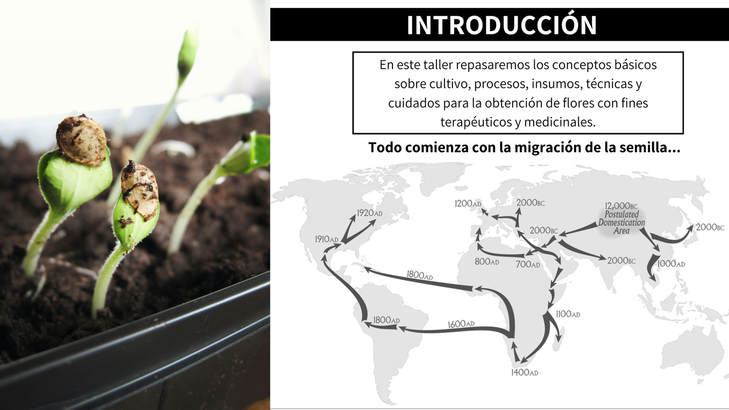 Master Class Cultivo Indoor