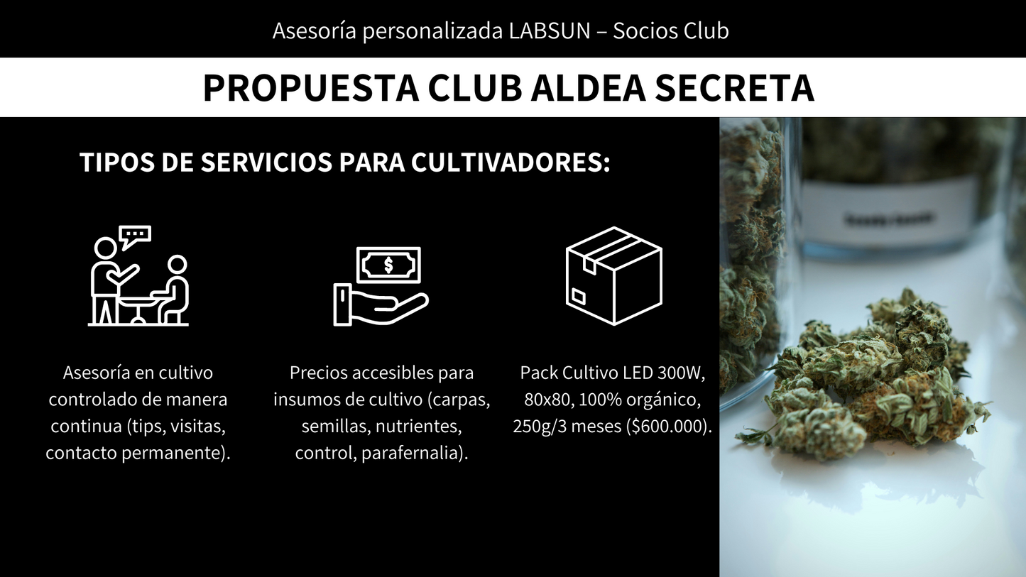 Master Class Cultivo Indoor