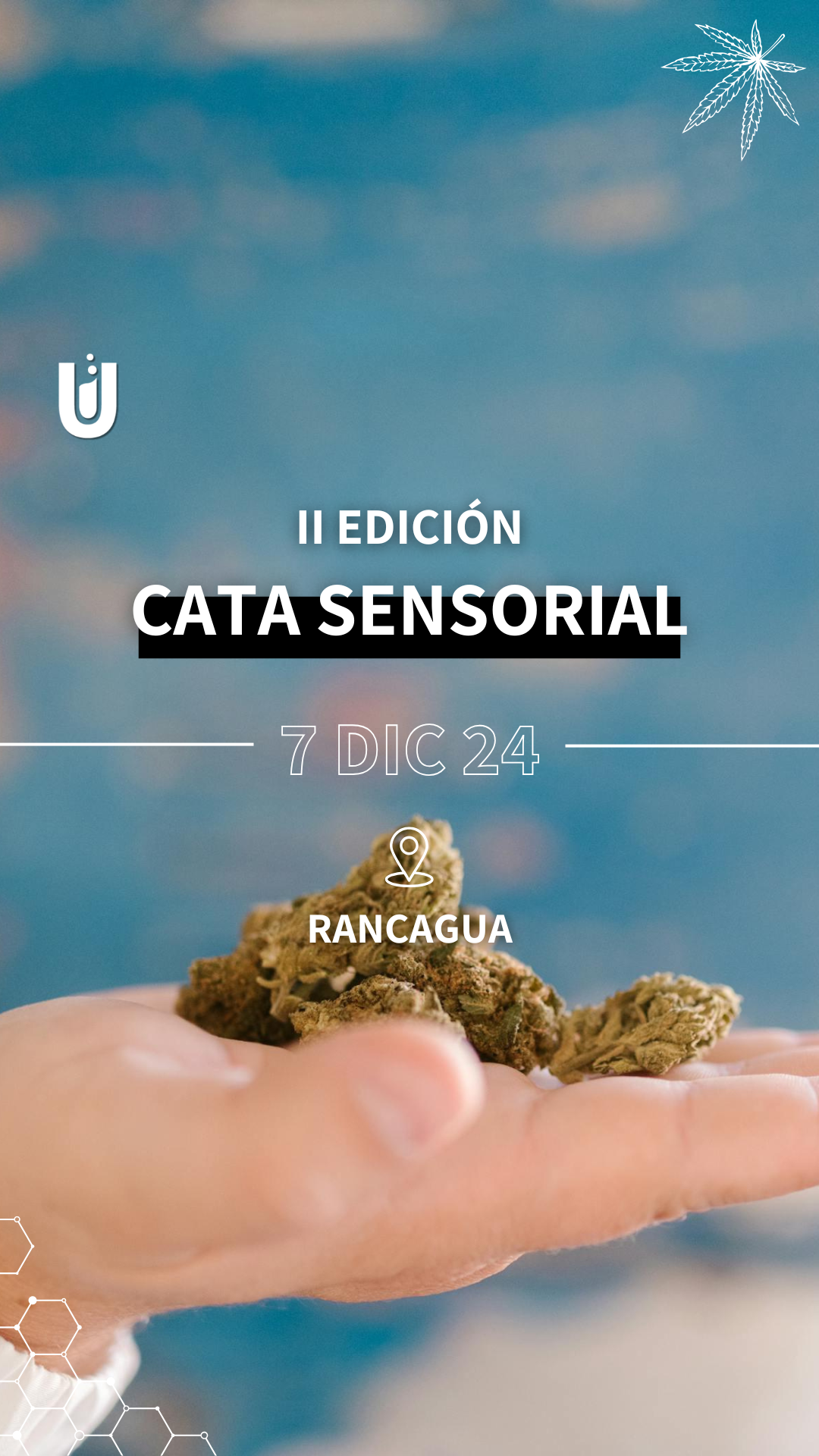 Cata Sensorial - Rancagua