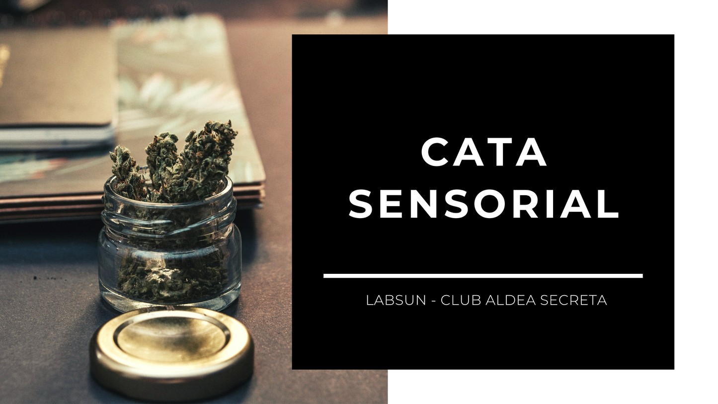 Cata Sensorial - Rancagua